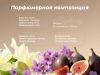 Парфюм кондиционер для стирки Rolmann Mystery