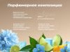 Парфюм-кондиционер для стирки Rolmann Aqua